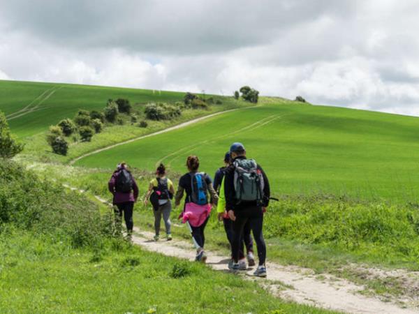 Walk the South Downs short break