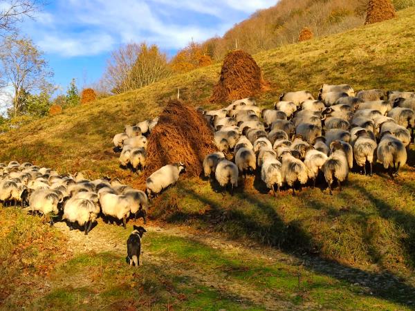 Basque country walking holiday