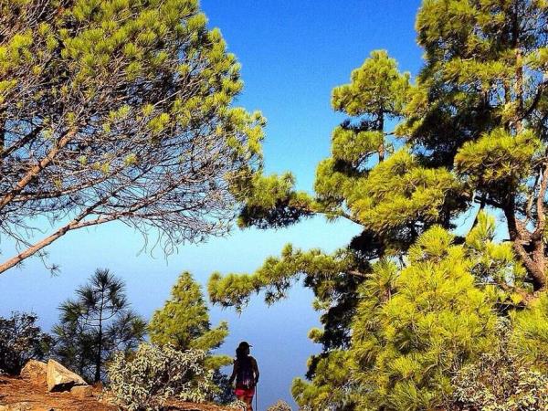 Gran Canaria self guided walking holiday