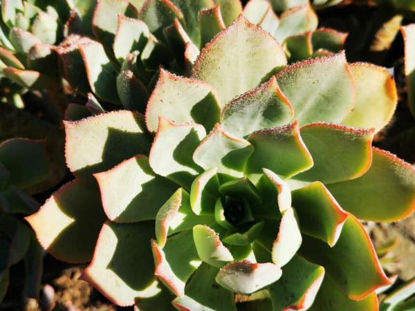 Gran Canaria self guided walking holiday