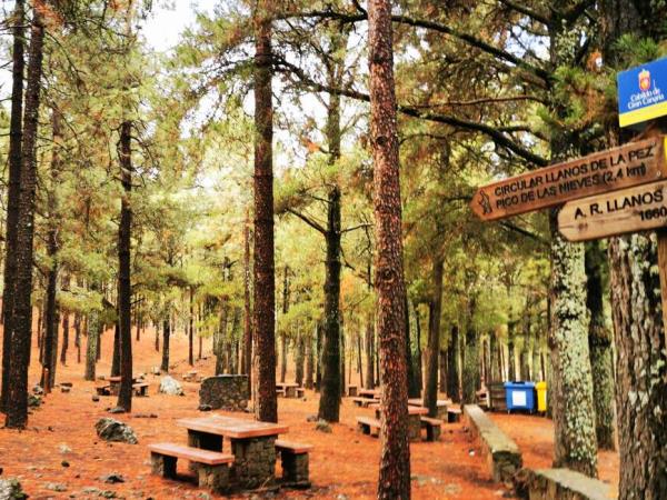 Gran Canaria self guided walking holiday