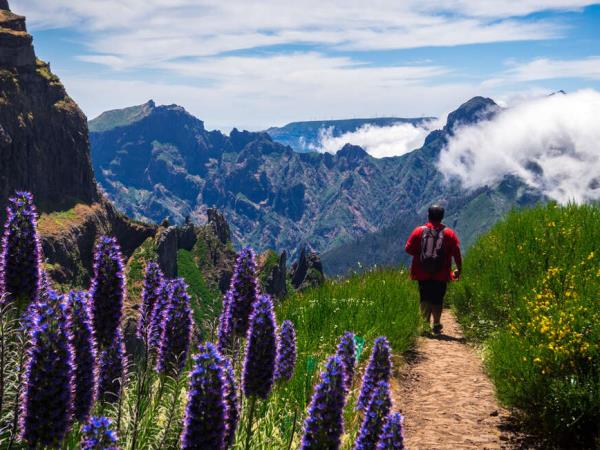 Self-guided walking holiday in Madeira