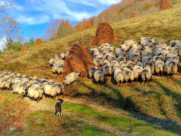 Basque country self guided walking holiday
