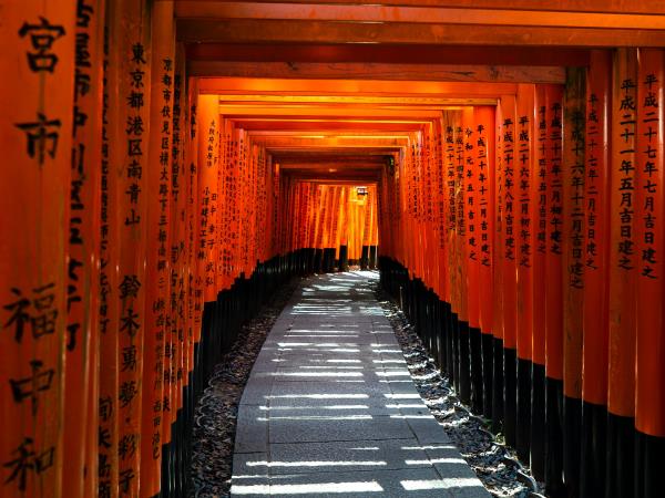 Japan guided walking tour, tradition & history