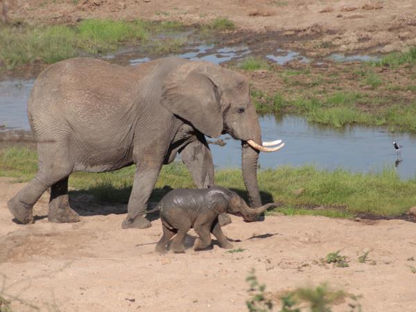 Tanzania culinary tour