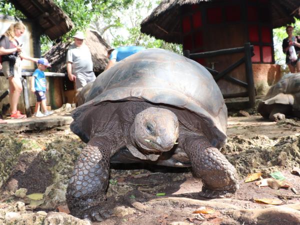 Zanzibar adventure holiday, 5 days