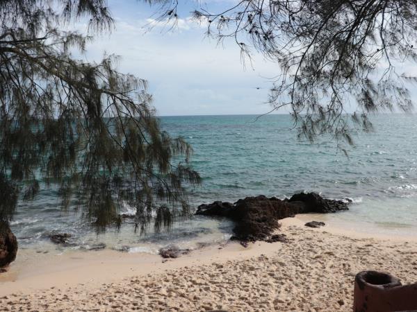 Zanzibar adventure holiday, 5 days