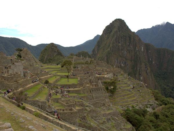 Peru wildlife tour with Machu Picchu