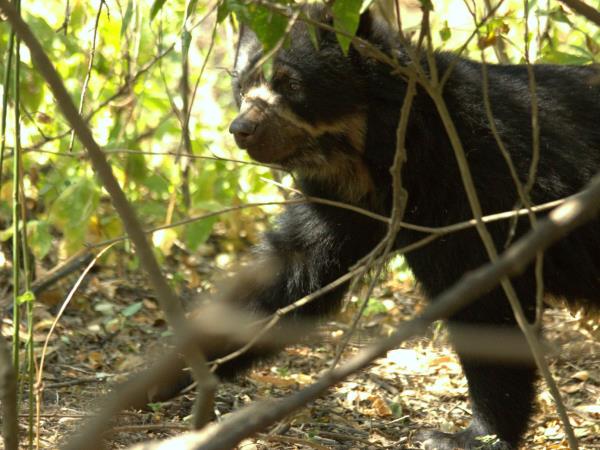 Peru wildlife tour with Machu Picchu