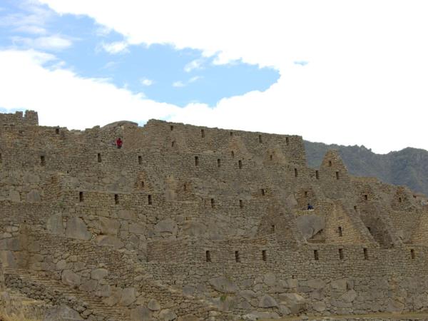 Peru wildlife tour with Machu Picchu