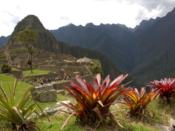 Peru wildlife tour with Machu Picchu