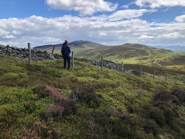 Wales self guided walking, Offa’s Dyke