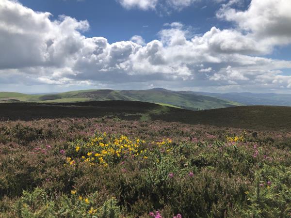 Wales self guided walking, Offa’s Dyke