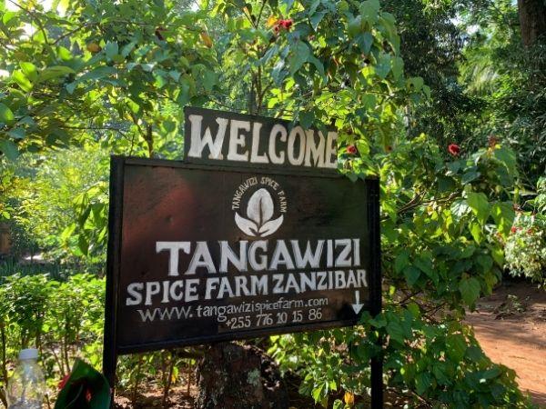 4 days in Zanzibar holiday