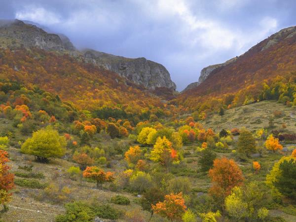 Italy rewilding holiday in the Apennines