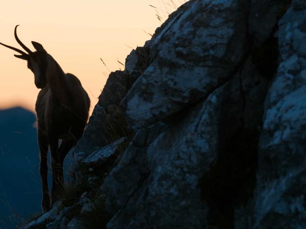 Italy rewilding holiday in the Apennines