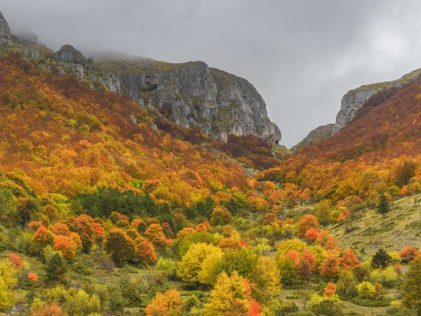 Italy rewilding holiday in the Apennines
