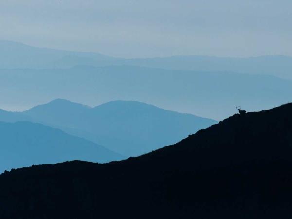 Italy rewilding holiday in the Apennines