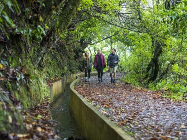 Madeira hiking holiday, self guided