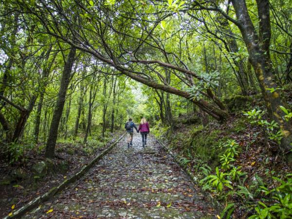 Madeira hiking holiday, self guided