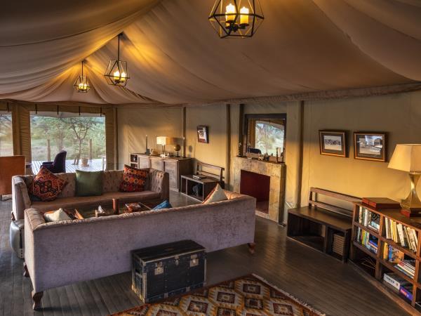 Wildebeest migration safari in Kenya