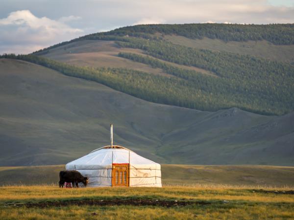 Yoga holiday in Mongolia