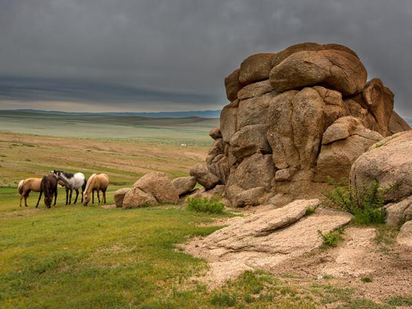 Yoga holiday in Mongolia