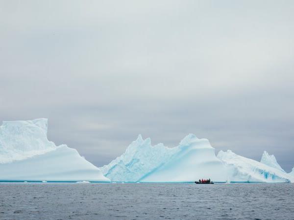 2022 Antarctica, South Georgia & Falklands cruise