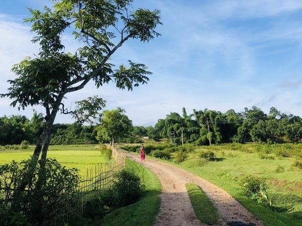 India permaculture volunteering on a tea plantation
