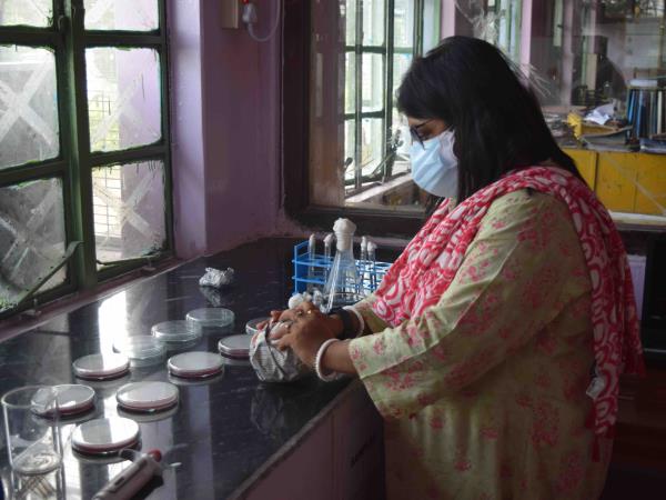 India permaculture volunteering on a tea plantation