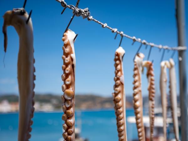 Greece photography tour in Peloponnese