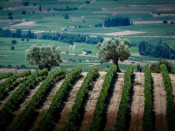 Greece photography tour in Peloponnese
