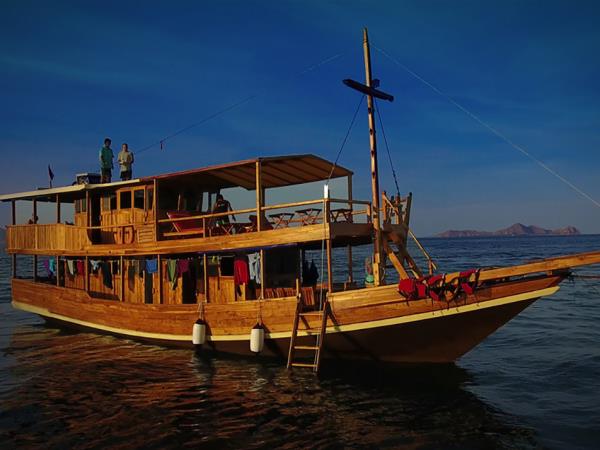 Indonesia orangutan and komodo dragon holiday