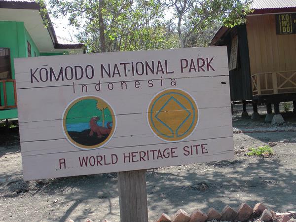 Indonesia orangutan and komodo dragon holiday