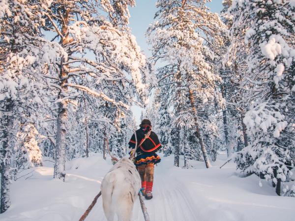 Northern Lights holiday, glass igloo stay