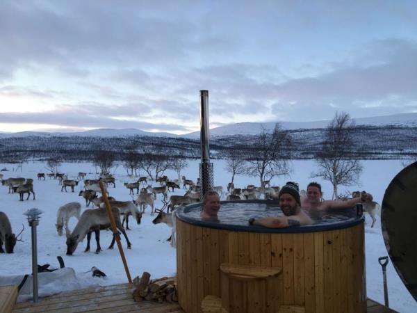 Northern Lights holiday, glass igloo stay