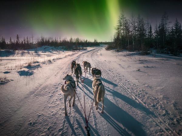 Northern Lights holiday, glass igloo stay