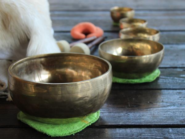 Yoga & Sound Healing Retreat in Montenegro