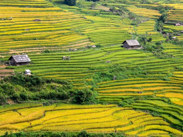 Vietnam history tour, the road to independence