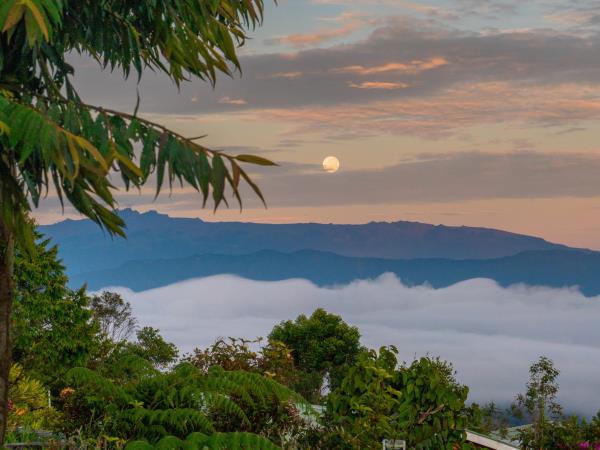 Papua New Guinea culture & history expedition