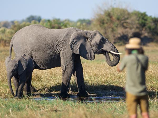 Okavango Delta photographic safari in Botswana