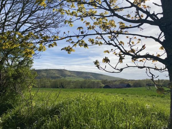 Glamping pods in the South Downs