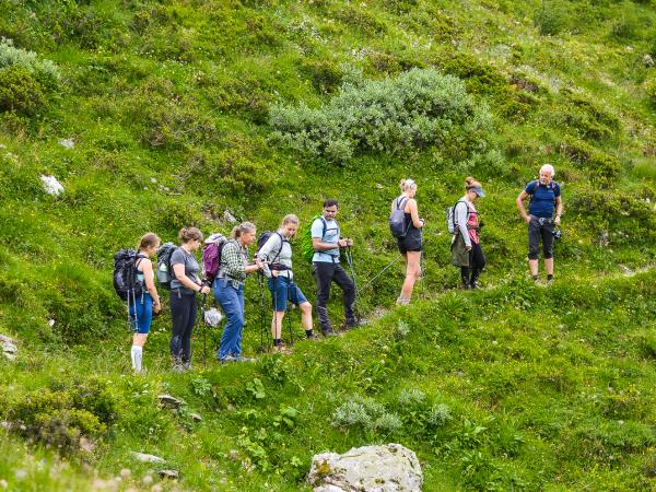 Austria yoga & walking holiday
