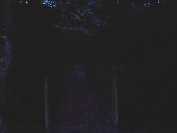 Ghost and nocturnal creatures holiday in Scotland