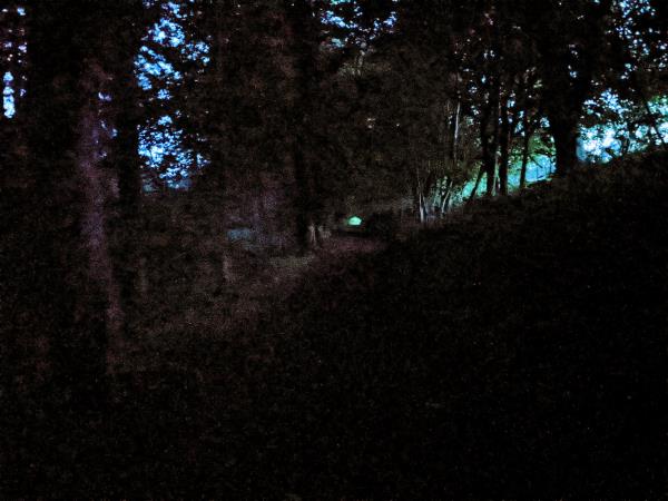 Ghost and nocturnal creatures holiday in Scotland