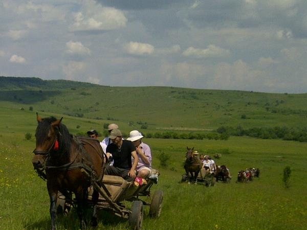 Tailor made holiday in Romania