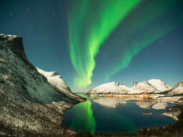 Norway Northern Lights and wildlife holiday
