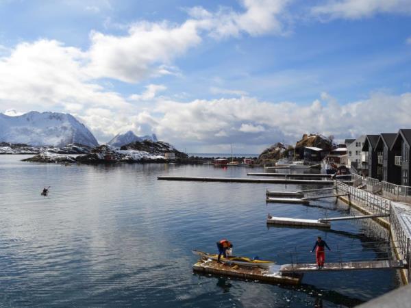 Norway Northern Lights and wildlife holiday