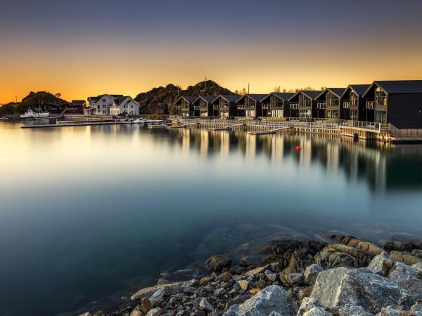 Norway Northern Lights and wildlife holiday