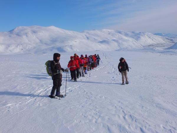 Norway Northern Lights and wildlife holiday